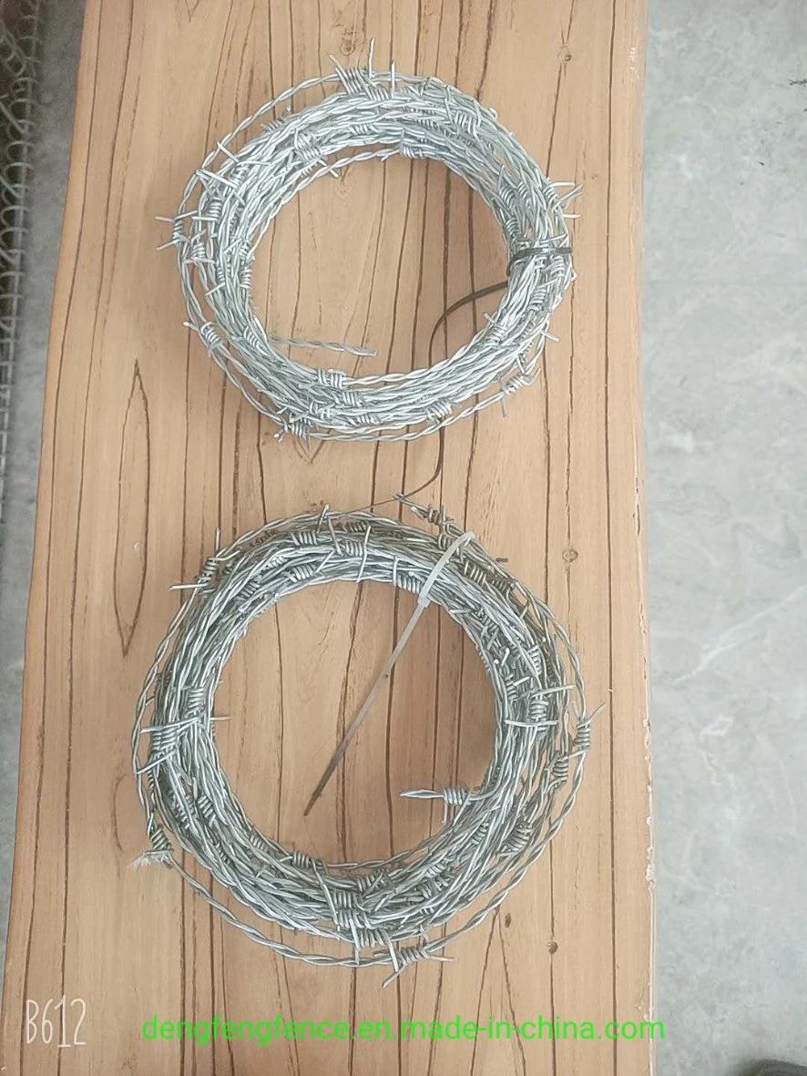 Factory Barbed Wire Hot Dipped Galvanized Barbed Wire for Protecting Wall