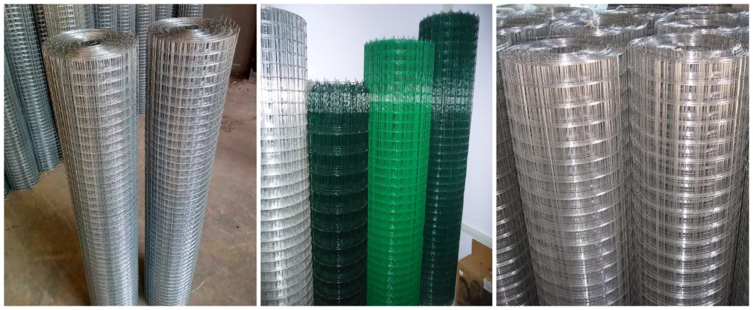 PVC Coated Green Wire Netting Galvanized Welded Wire Mesh for Garden Fence and Cages