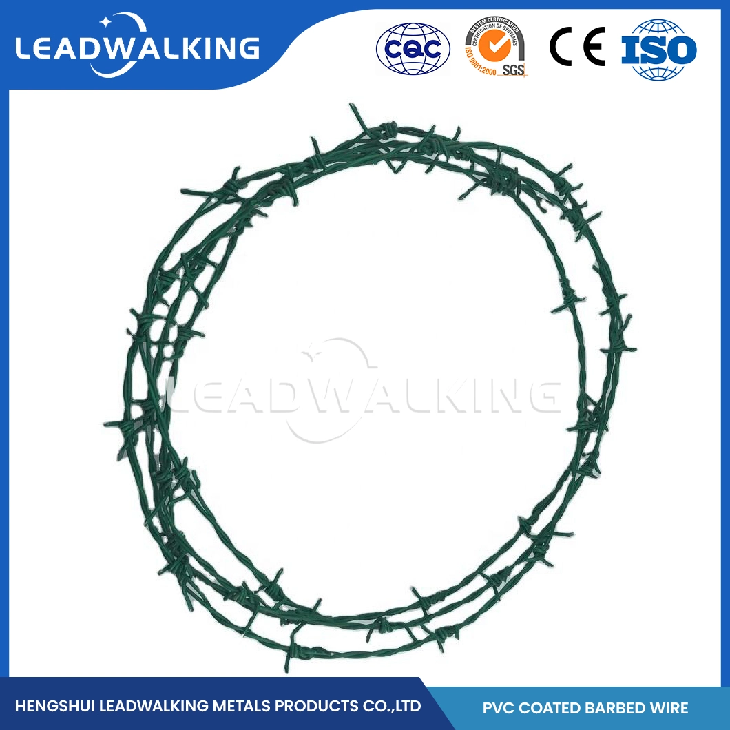 Leadwalking Wall Spike Barbed Wire Suppliers Wholesale High Tensile Galvanized Barbed Wire China 50mm Needle Spacing 50kg Weight Barbed Wire