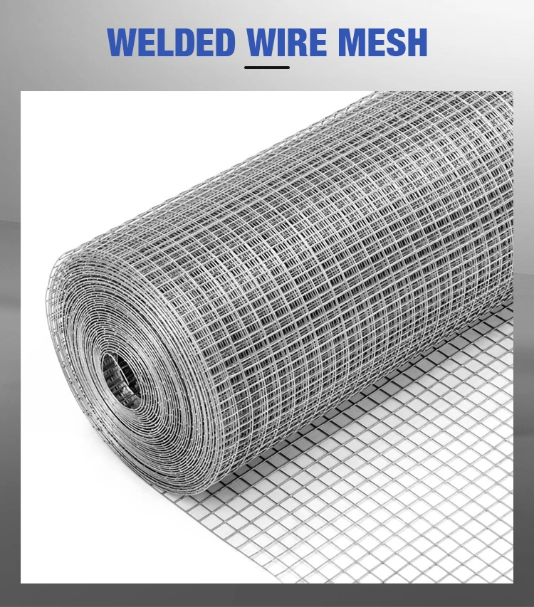 Hot Sale Welded Wire Mesh for Sale