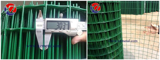 PVC Coated Galvanized Holland/Dutch/Euro Wire Mesh Fence