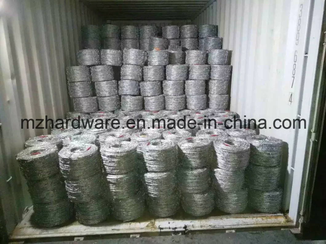 100m 200m 300m 400m 500m Electro/Hot Dipped Galvanized and PVC Coated /Stainless Steel Bto-22 Cbt-60 Cbt-65 Concertina Razor Barbed Wire for Farming/Animal