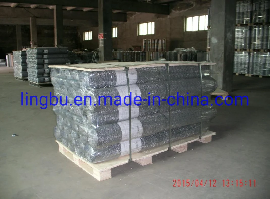 Hot Dipped Galvanized Poultry Chicken Wire Mesh with Hexagonal Wire Netting