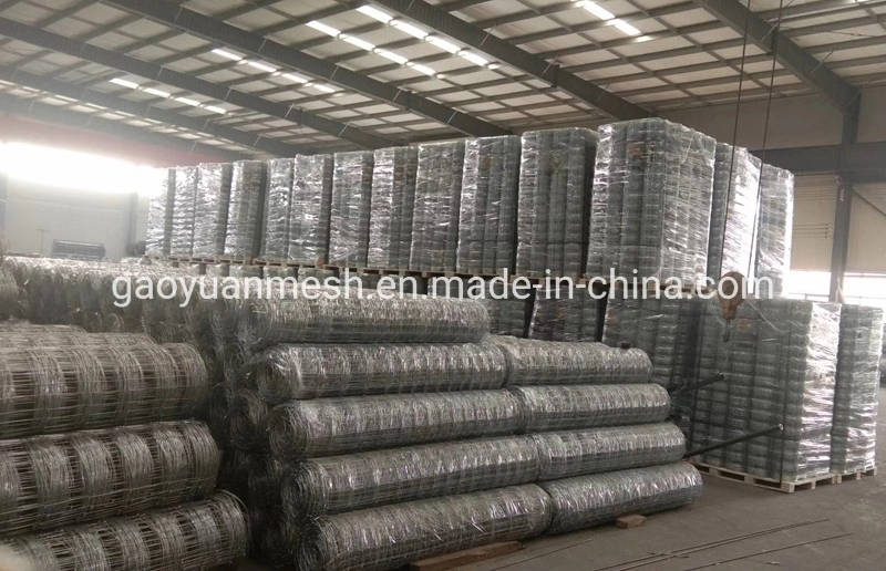 Field Fence Hot Dipped Galvanized Feild Fence Farm Fence Cattle Fenceing Price