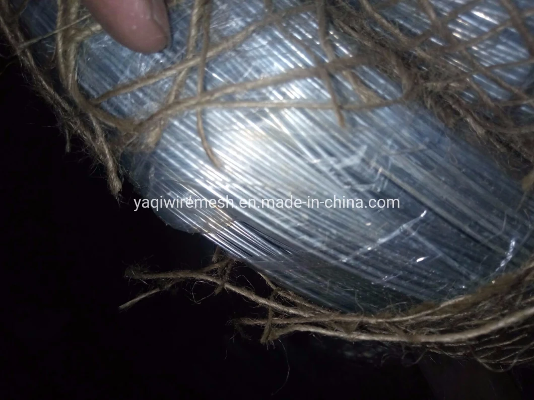 Electro Galvanized Iron Wire / Hot DIP Galvanized Iron Wire / Construction Binding Iron Wire