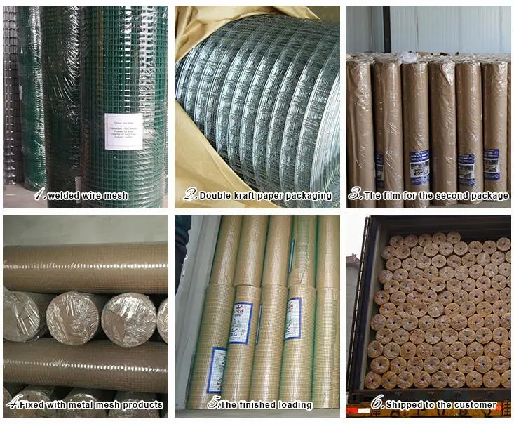 Galvanized Wire Mesh Rolls Welded Wire Mesh Sheet