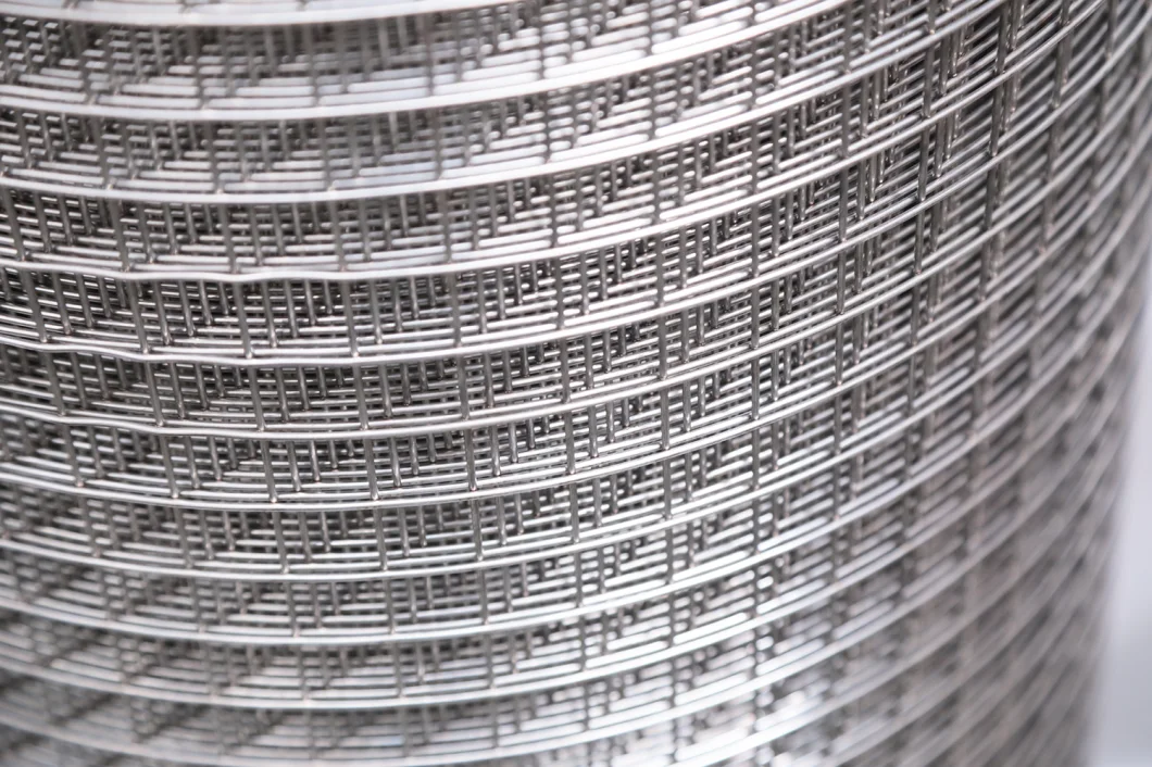 Galvanized Welded Wire Mesh with Firmly Structure and Flat Surface Welded Wire Mesh