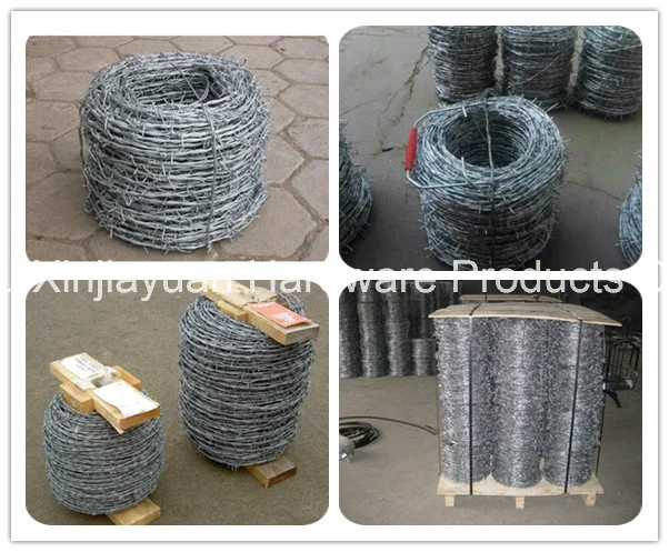 Hot Sale Galvanized or PVC Coated Barbed Wire for Fence