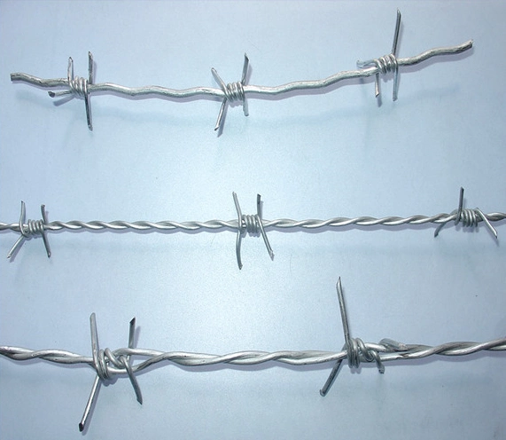 Barbed Wire Right off The Border Wall to Protect Homes