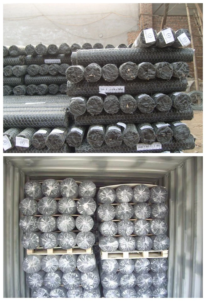 Hot DIP Galvanized or PVC Coated 60X80 Hexagonal Wire Mesh with Factory Price