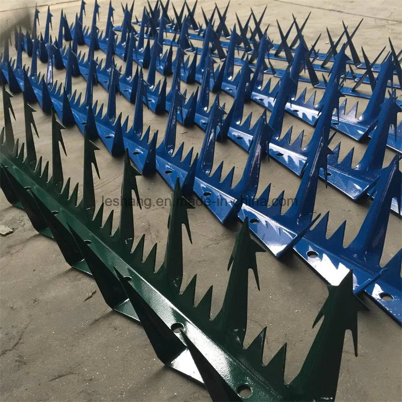 Hot-Dipped Galvanized /Powder Coated Wall Spikes /Razor Wire/Barbed Wire