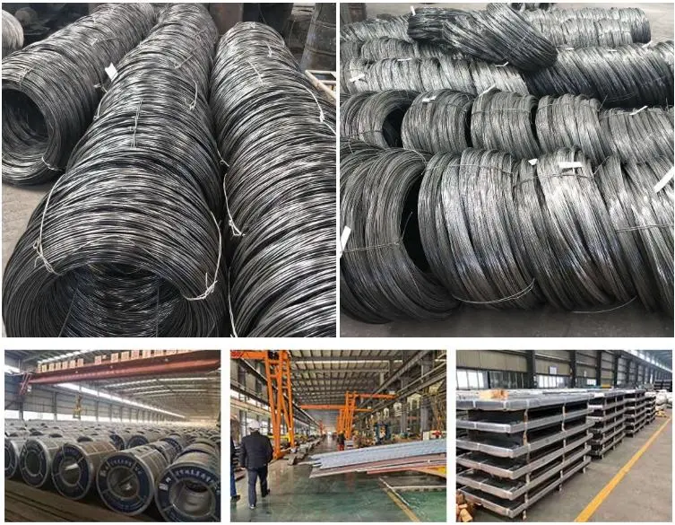 AWG8 to 26 Galvanized Gi Wire Hot Dipped Fastener Wire Rope 1.8 mm Galvanized Wire Zinc Coated Electro Iron Steel Wire