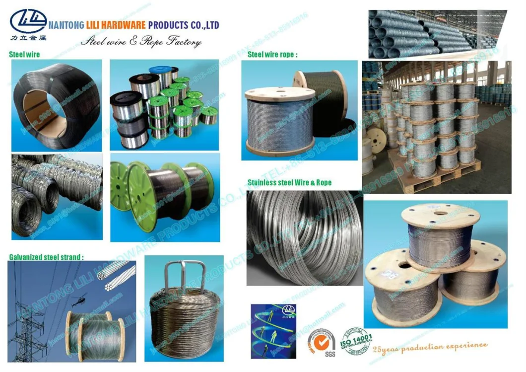 Oval Galvanized Steel Wire, Steel Wire, Stainless Steel Wire