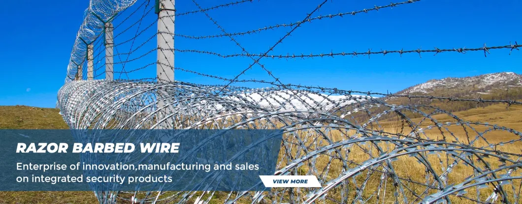 Factory Price Concertina Razor Wire Fencing for Protection