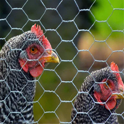 Rete metallica per polli, rete zincata, rete metallica esagonale