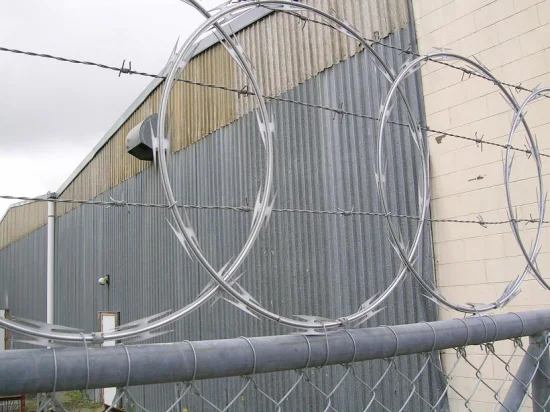 Recinzione a muro galvanizzata in acciaio inossidabile con filo spinato a rete elettrica Filo spinato protettivo Dra 32mm