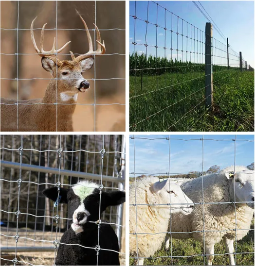 Recinzione agricola di alta qualità per recinzione del bestiame, recinzione da campo zincata a caldo